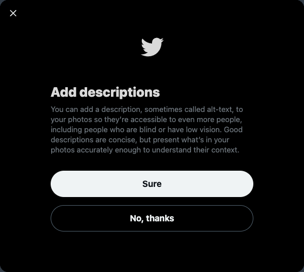 Social Media Experiments Part One 15 The Twitter guidance around adding ALT text. The irony is not lost on me here.